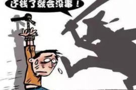 林州专业讨债公司有哪些核心服务？